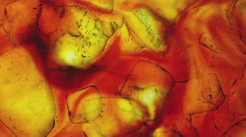 Melting salt grains under microscope Stock Footage 51538880