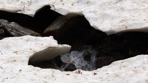 Melting Snow and Flowing Stream at Lago della Rovina Stock Footage 341536536