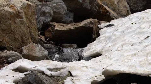 Melting Snow and Water Stream Flowing Over Rocks in Italian Alps Stock Footage 341472987