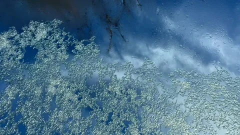 Melting snow on car windshield time lapse Vídeo Stock 230671114