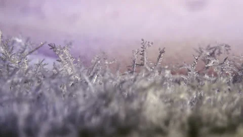 Melting snow crystals macro Stock Footage 188565974