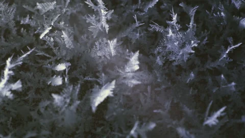 Melting snow crystals macro Stock Footage 190925100