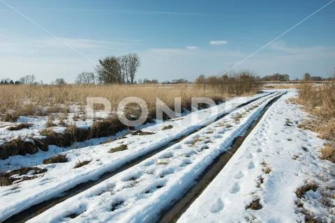 Melting snow on dirt road through wild meadow, trees and clear sky Stock Photos