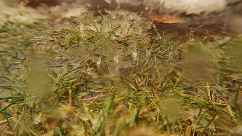 Melting Snow Dripping on Grass with Splash Effects – Seasonal Nature Close-Up Stock Footage 323440992
