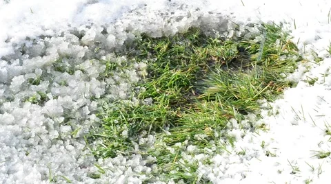 Melting snow with dropping water. Stock Footage 48050360