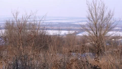 Melting of the snow on the fields in early spring Stock Footage 159439535