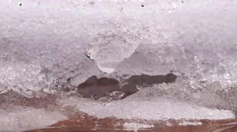 Melting snow Stock Footage 60956740