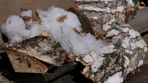 Melting snow Video stock 106046343