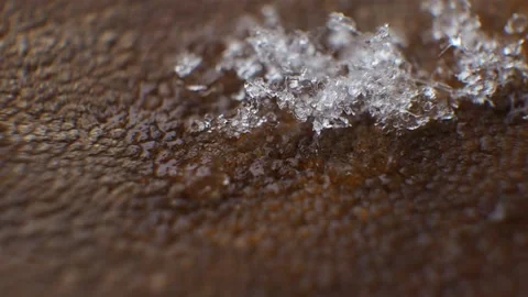 Melting snow Stock Footage 150972429