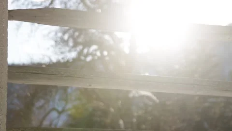 Melting snow Stock-Footage 152827719