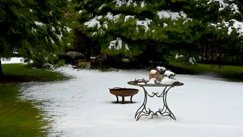 Melting snow Stock Footage 173143336