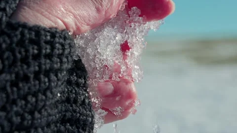 Melting snow. Stock Footage 332890539