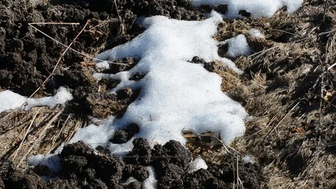 Melting snow in a forest clearing when heated by sunlight and blowing warm wind  Video stock 89610943