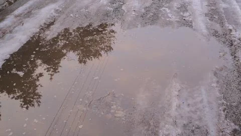 Melting snow forms shallow muddy puddles on a dirt path, reflecting bare tree Fotos de archivo