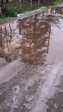 Melting snow forms shallow muddy puddles on a dirt path, reflecting bare tree Fotos de archivo