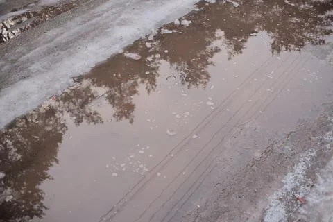 Melting snow forms shallow muddy puddles on a dirt path, reflecting bare tree Fotos de archivo