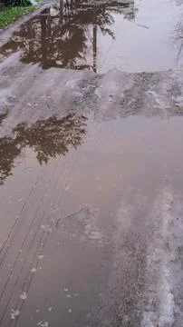 Melting snow forms shallow muddy puddles on a dirt path, reflecting bare tree Fotos de archivo