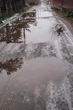 Melting snow forms shallow muddy puddles on a dirt path, reflecting bare tree Fotos de archivo