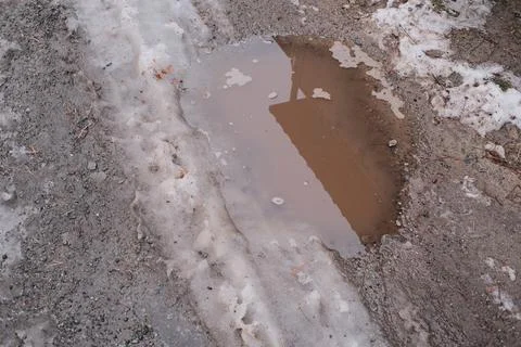 Melting snow forms shallow muddy puddles on a dirt path, reflecting bare tree Fotos de archivo