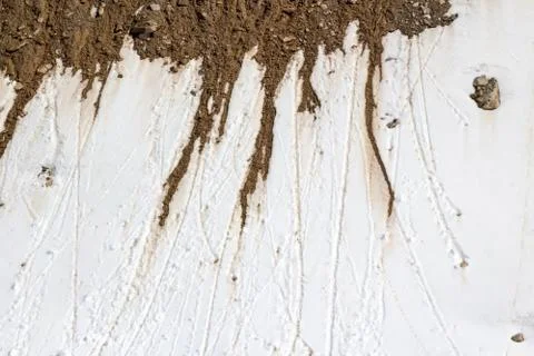Melting snow Foto stock
