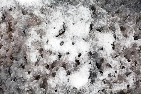 Melting snow Stock Photos