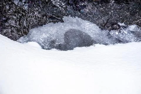 Melting snow Foto stock
