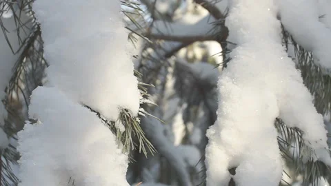 Melting snow in the spring Stock Footage 86127241