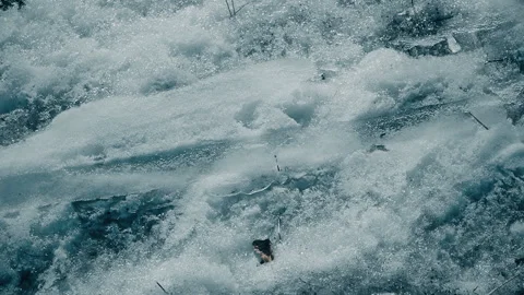 Melting snow in spring an old grass and leafs under it. Stock Footage 103646805