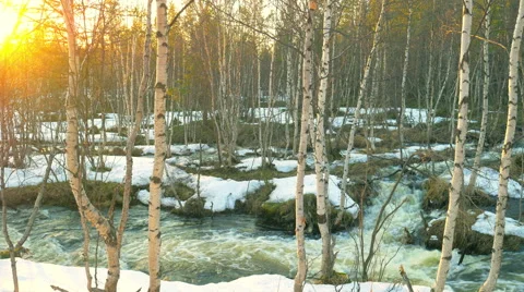 The melting snow in the spring.Rough river in the forest at sunset Stock Footage 62873224