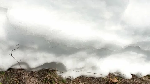 Melting snow at springtime Stock Footage 171973467