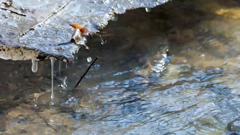 Melting snow at springtime near some water current Stock Footage 128658089
