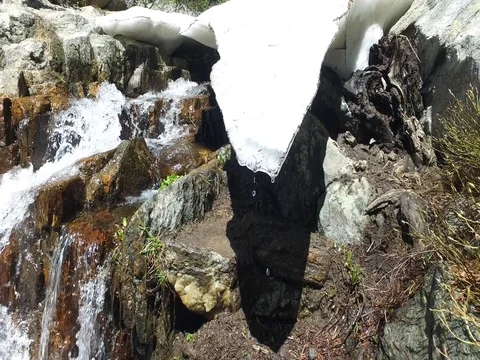 Melting Snow by a Waterfall Stock-Footage 77013873