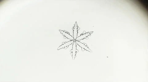Melting snowflake Stock Footage 47260277