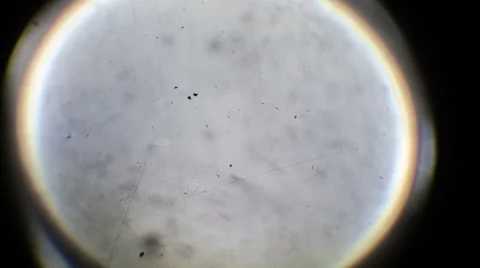 Melting snowflake Stock Footage 48064048