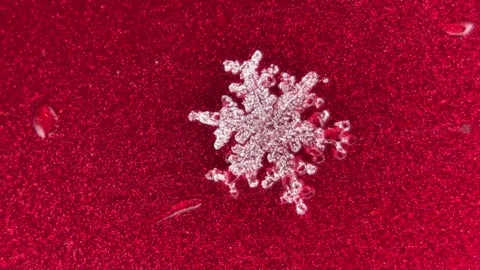 Melting Snowflake Stock Footage 230029402