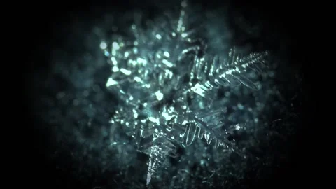 Melting Snowflake in Macro Stock Footage 182851483