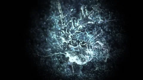 Melting Snowflake in Macro Stock Footage 182851764