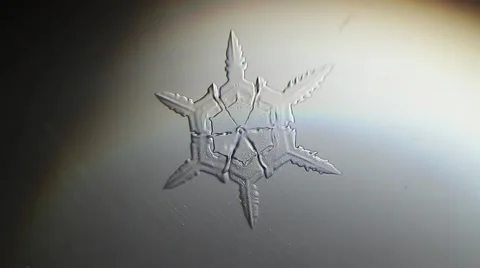 Melting snowflakes background Video stock 50374919