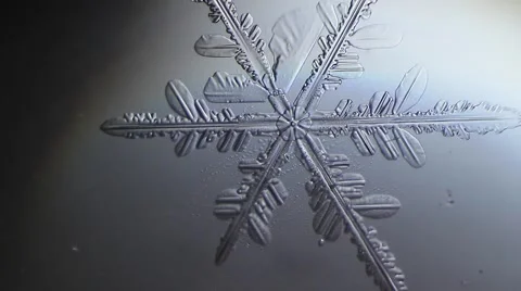 Melting snowflakes background Video stock 50374925