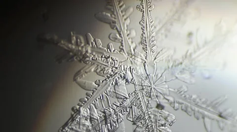 Melting snowflakes background Video stock 50374942