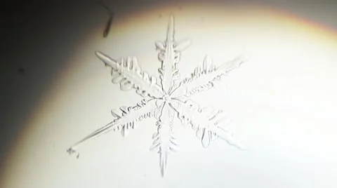 Melting snowflakes background Video stock 50374944