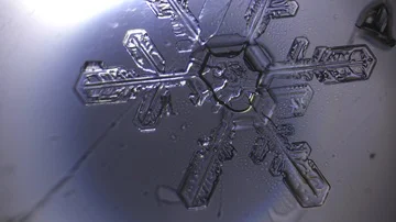 Melting snowflakes under a microscope Stock Footage 85892770