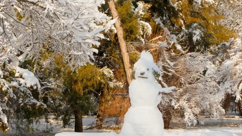 Melting snowman in the sun Stock Footage 83322510