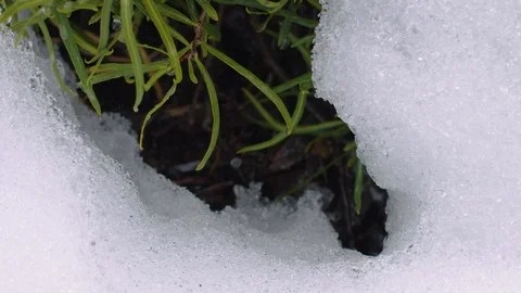 Melting spring ice in the mountains of Chile. Stock Footage 86880092