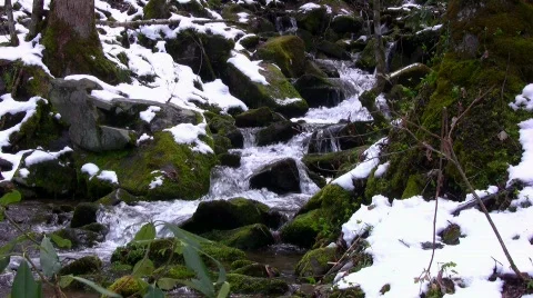 Melting spring snow flowing down mountain side with sound Stock Footage 363327