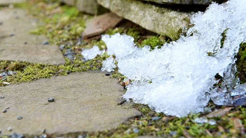 Melting, thawing snow on ground in spring Stock Footage 100514532