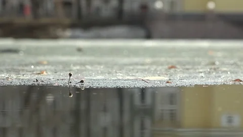 Melts the ice on the water. Video stock 74391445