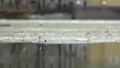 Melts the ice on the water. Stock Footage