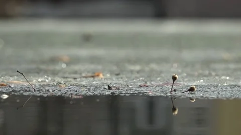 Melts the ice on the water. Video stock 74392211