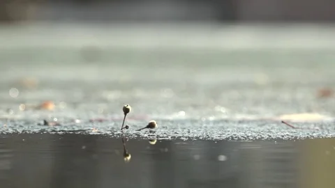 Melts the ice on the water. Video stock 74392214